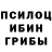 Псилоцибиновые грибы прущие грибы Zazdravna Natasha