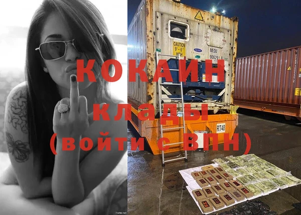 прущие грибы Вязьма