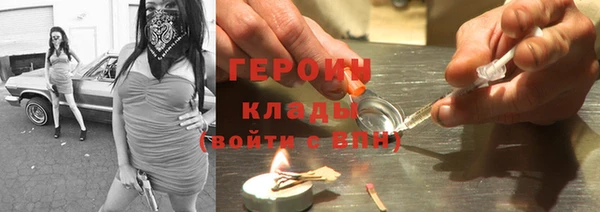 прущие грибы Вязьма
