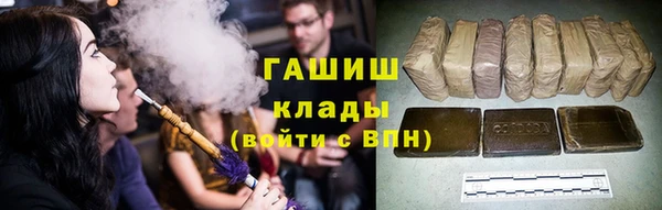 прущие грибы Вязьма