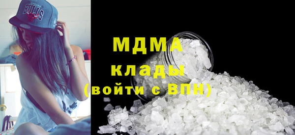 прущие грибы Вязьма