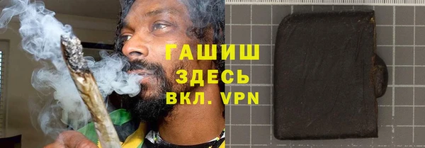 прущие грибы Вязьма