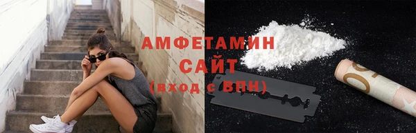 сатива Вяземский