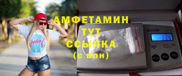 прущие грибы Вязьма