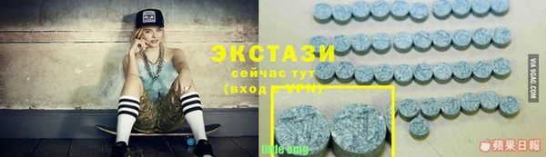 сатива Вяземский
