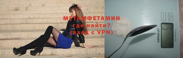 сатива Вяземский