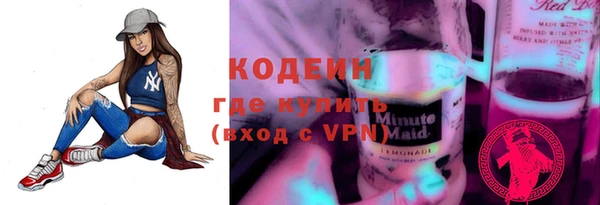 прущие грибы Вязьма