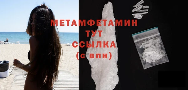 прущие грибы Вязьма