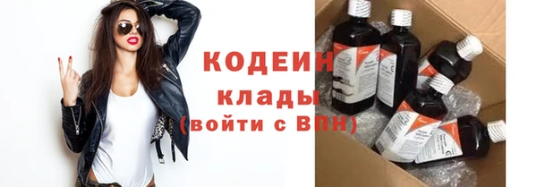 сатива Вяземский