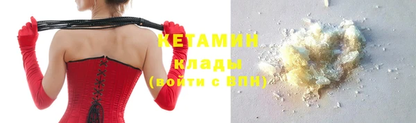 сатива Вяземский