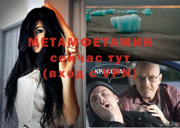 прущие грибы Вязьма
