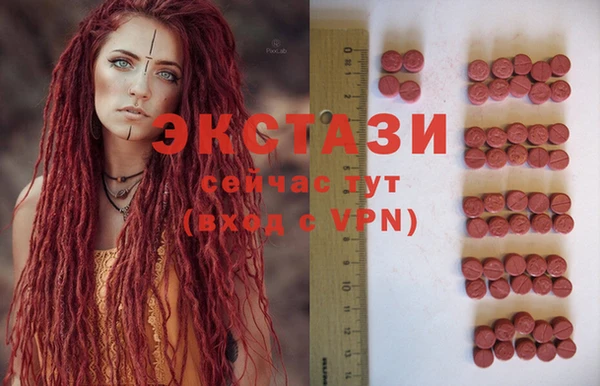 прущие грибы Вязьма