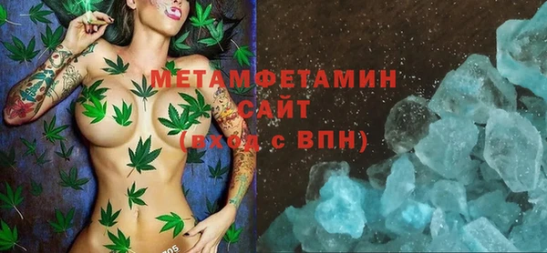 прущие грибы Вязьма