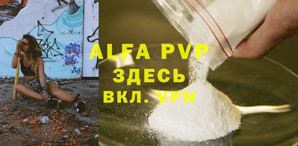 прущие грибы Вязьма