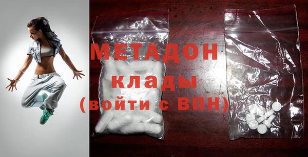 прущие грибы Вязьма