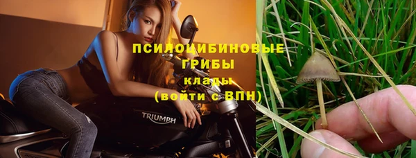 соль ск Вязники