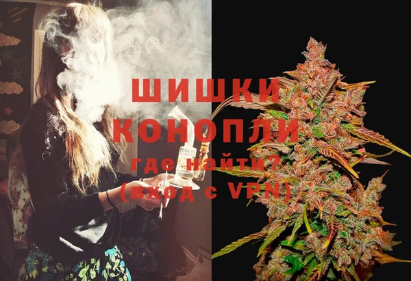 сатива Вяземский