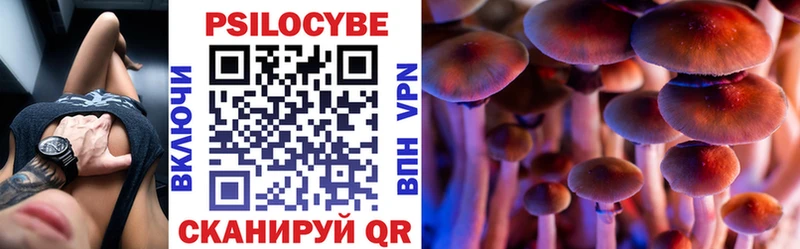 Купить где  Красный Сулин  Галлюциногенные грибы ЛСД 